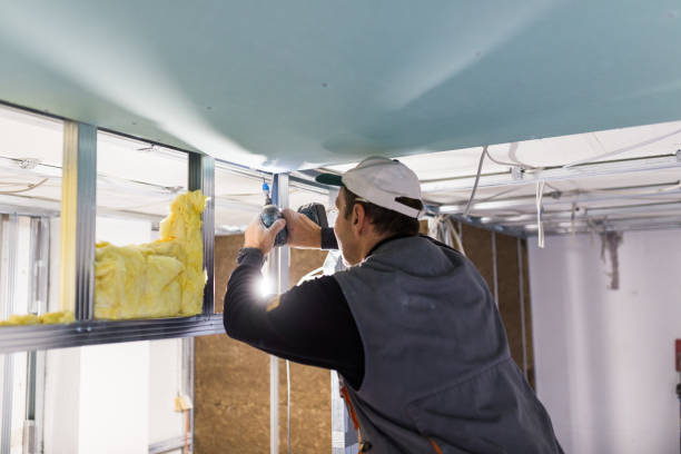 Professional Insulation in Blaine, MN